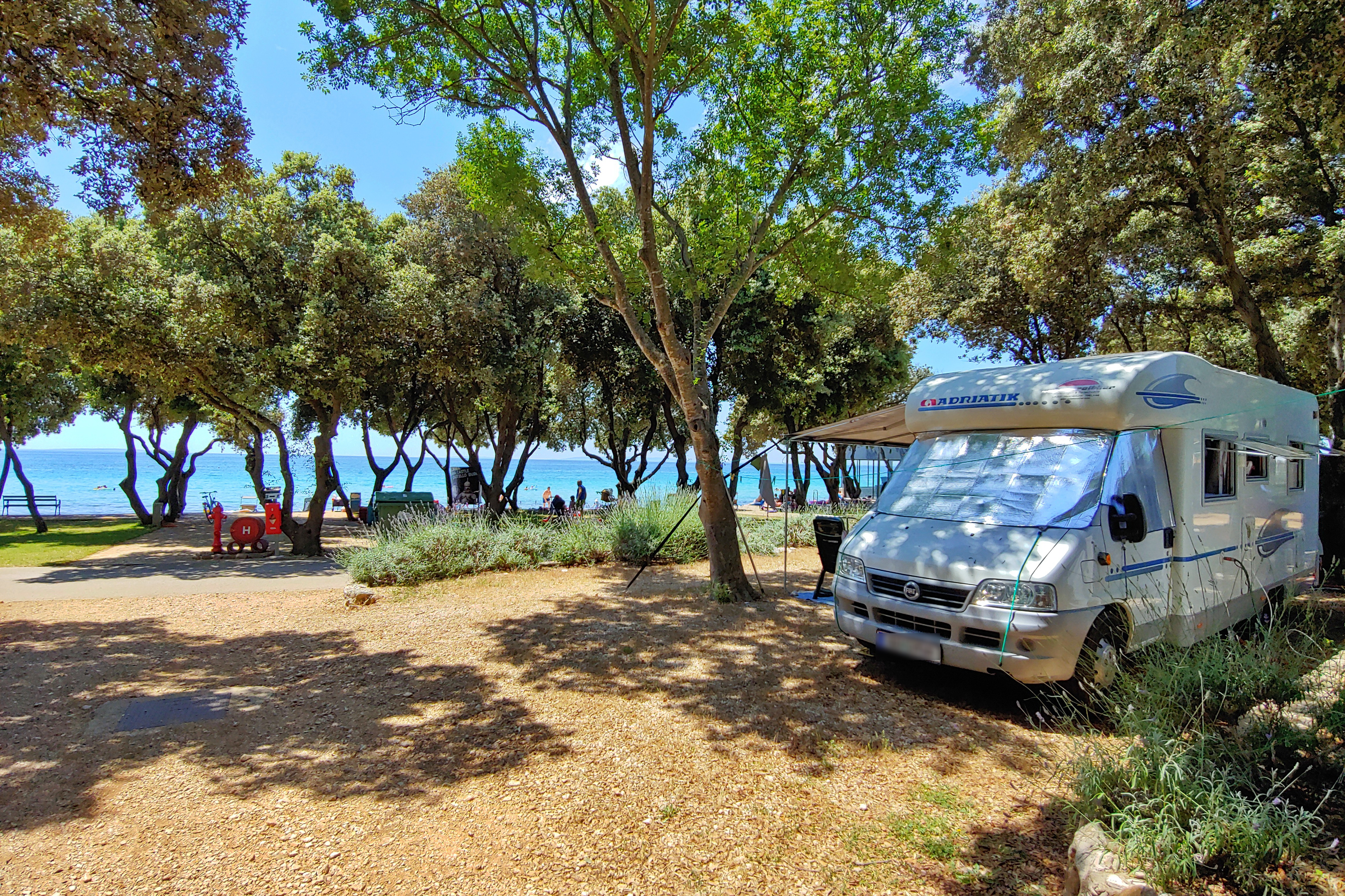 PITCH PREMIUM MARE 1. ROW