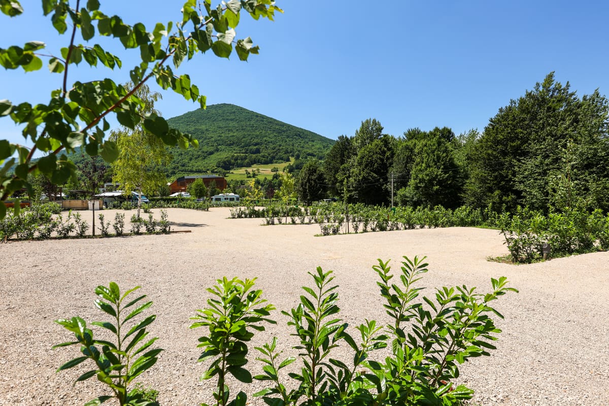 Emplacement Premium ensoleillé