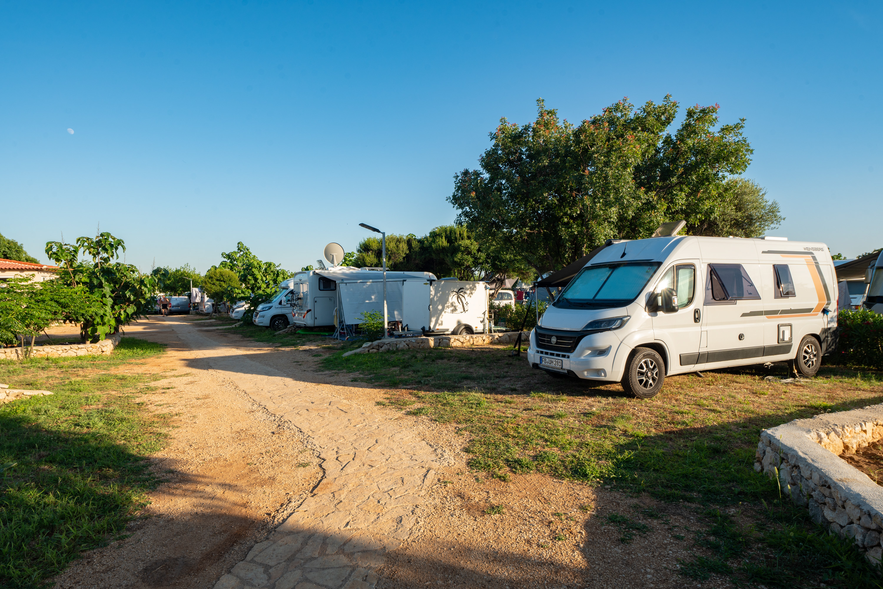 Terra Park Phalaris - Photo 2
