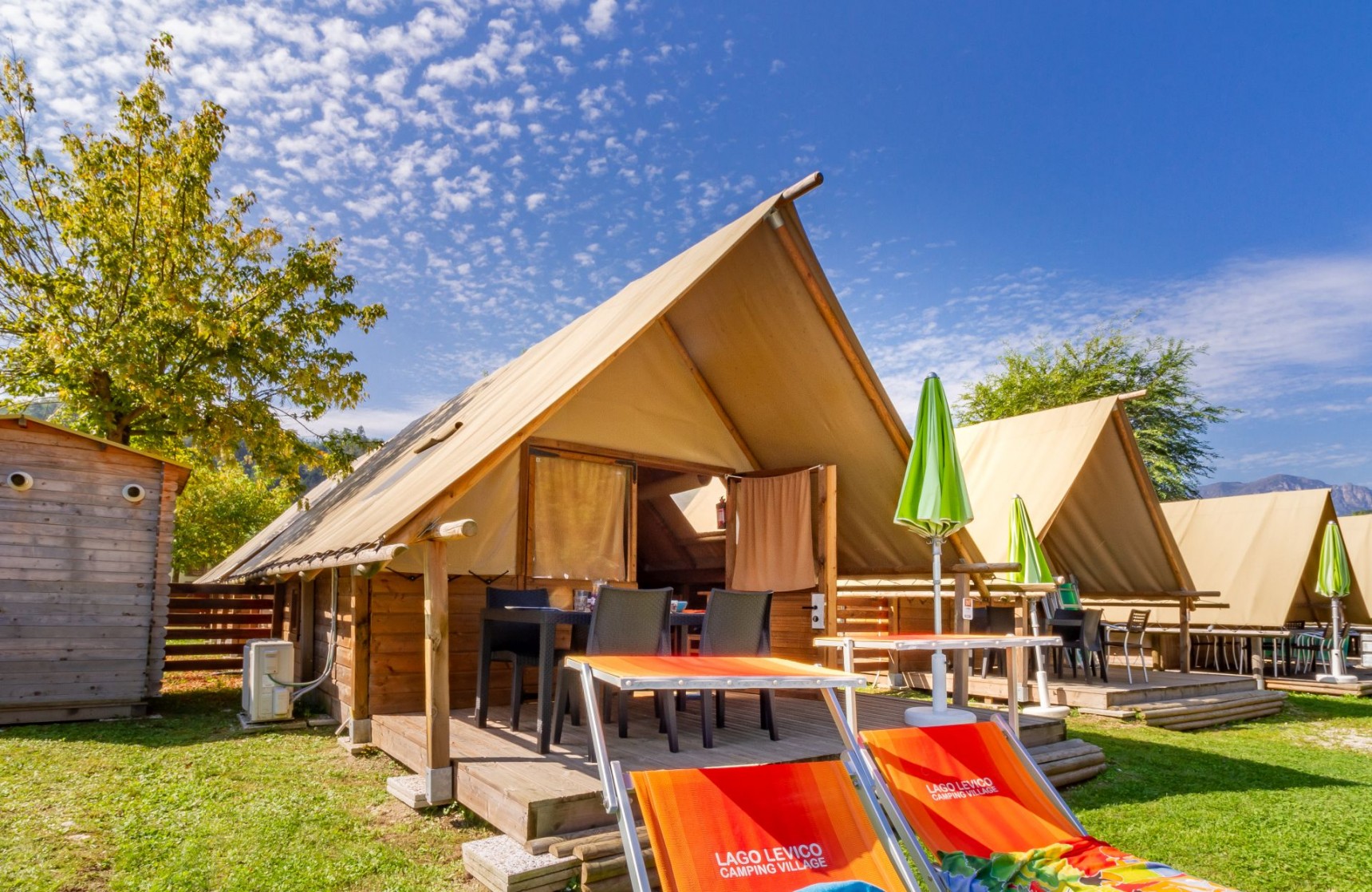 Safari Tend