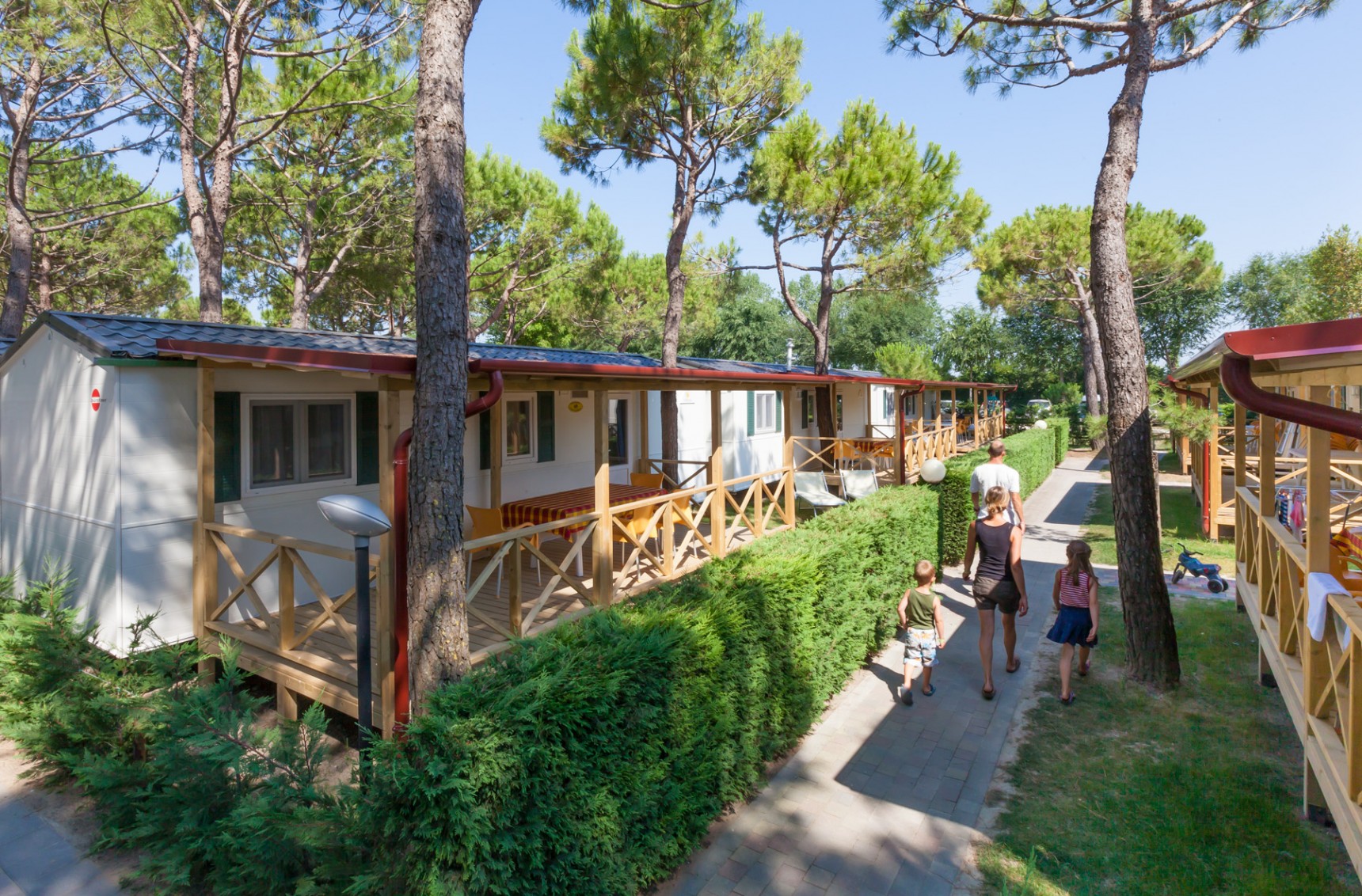 Torcello Gold Holiday