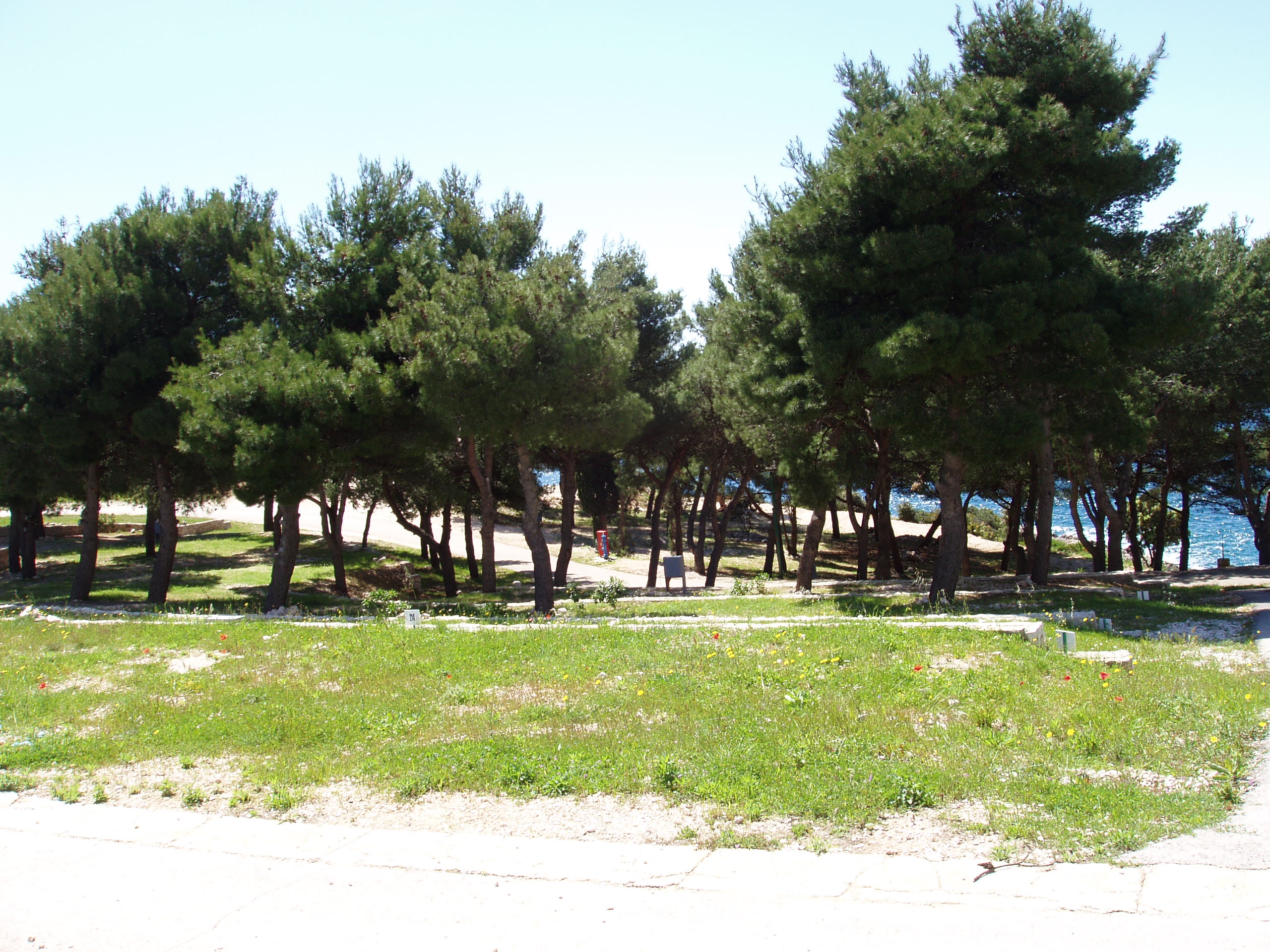 Standard Pitches Campsite View