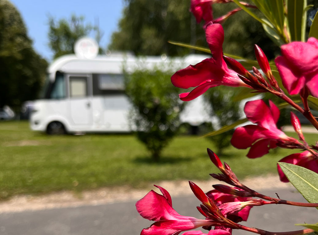 Thermal Camping Zalakaros photo 3