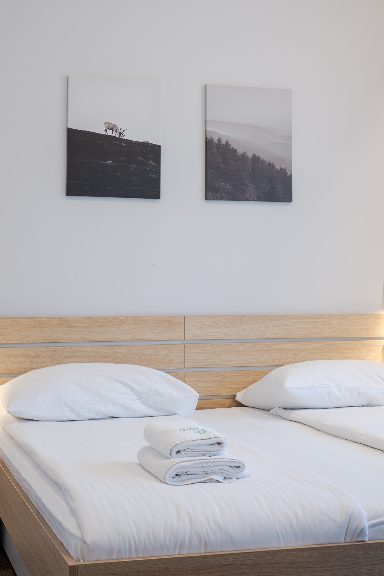 Family Superior Room with View