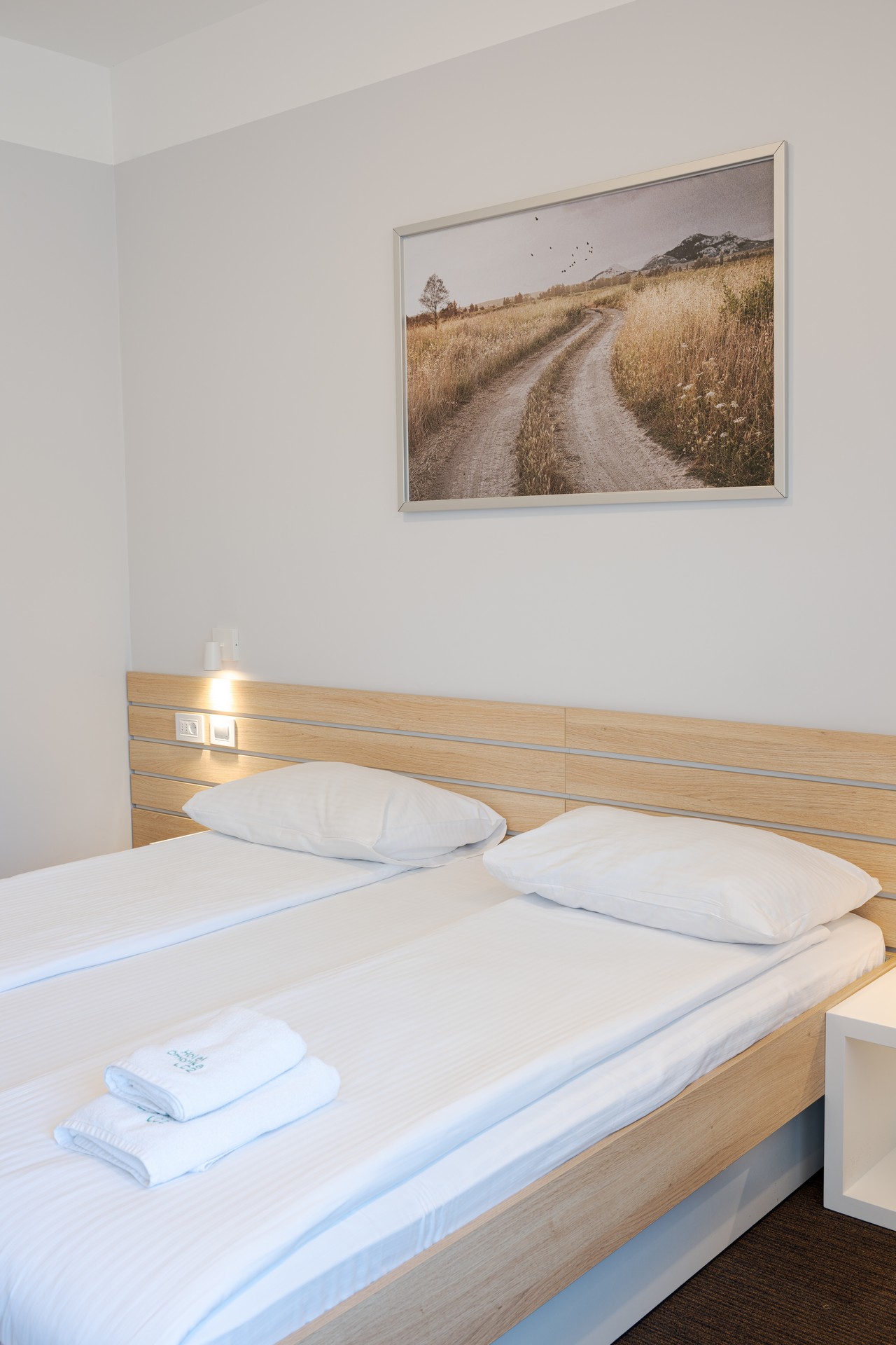 Deluxe Room with Terrace