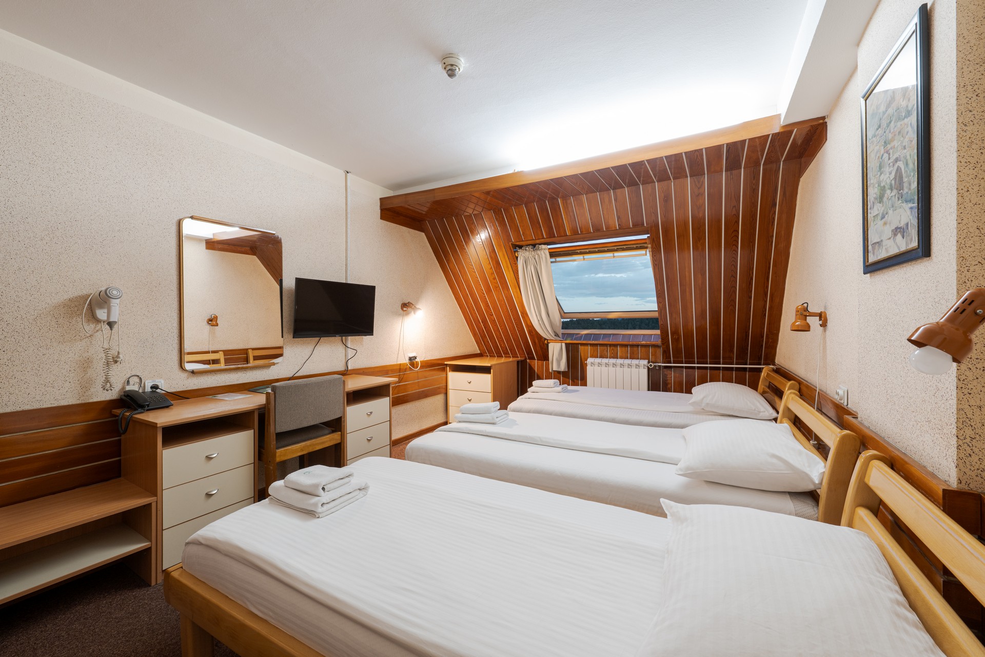 Economic 1/3 Room with View