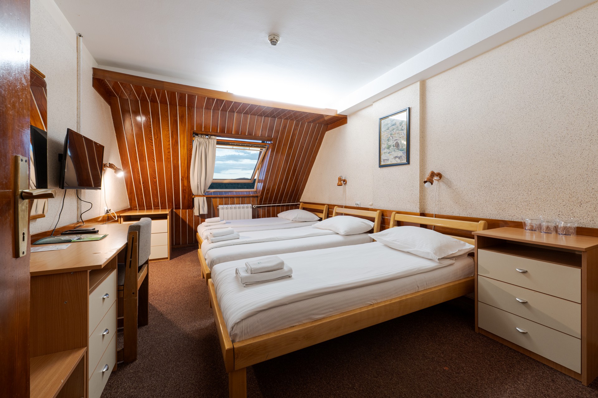 Economic 1/3 Room with View