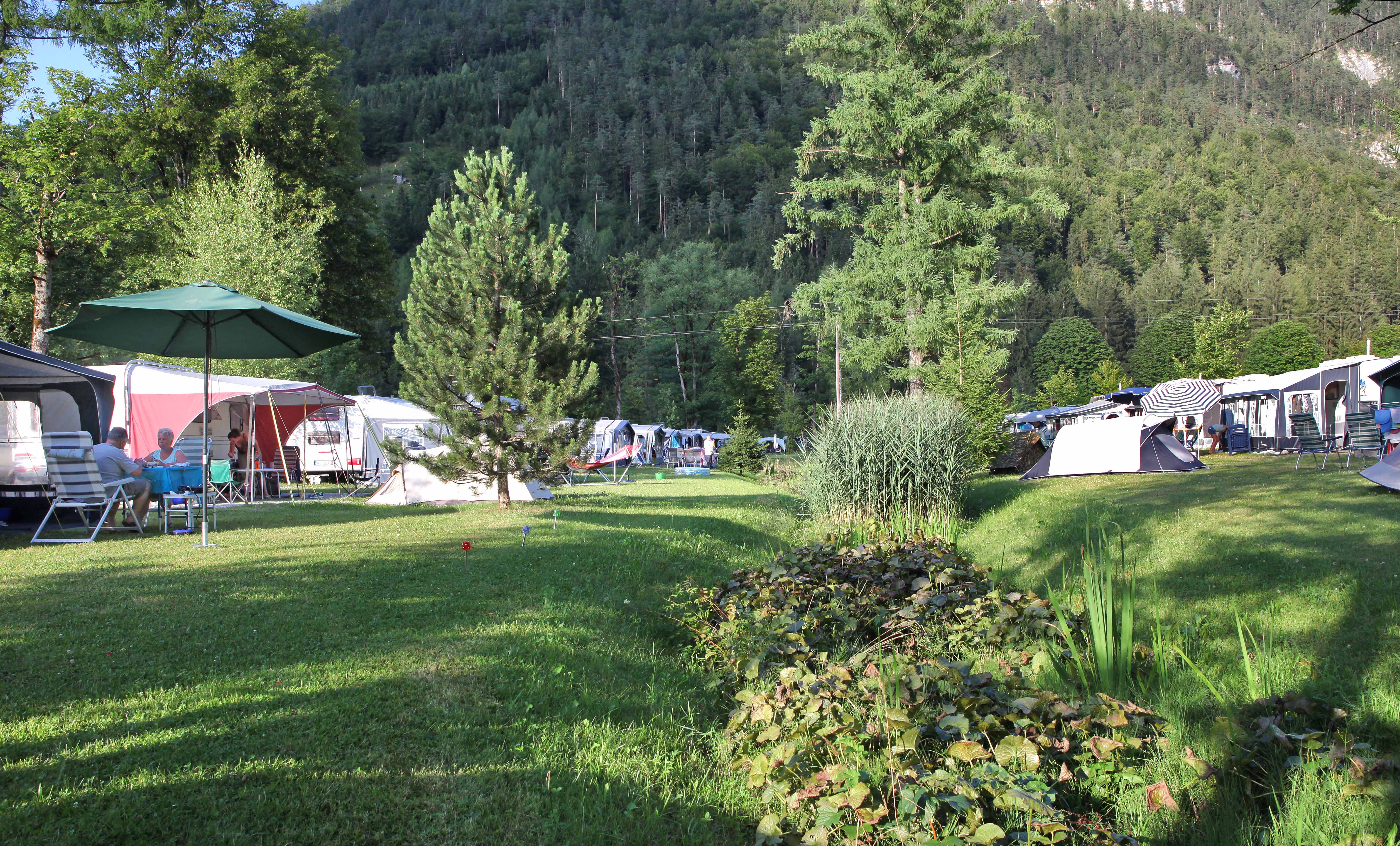 Pitch Gold - 60-100 m²