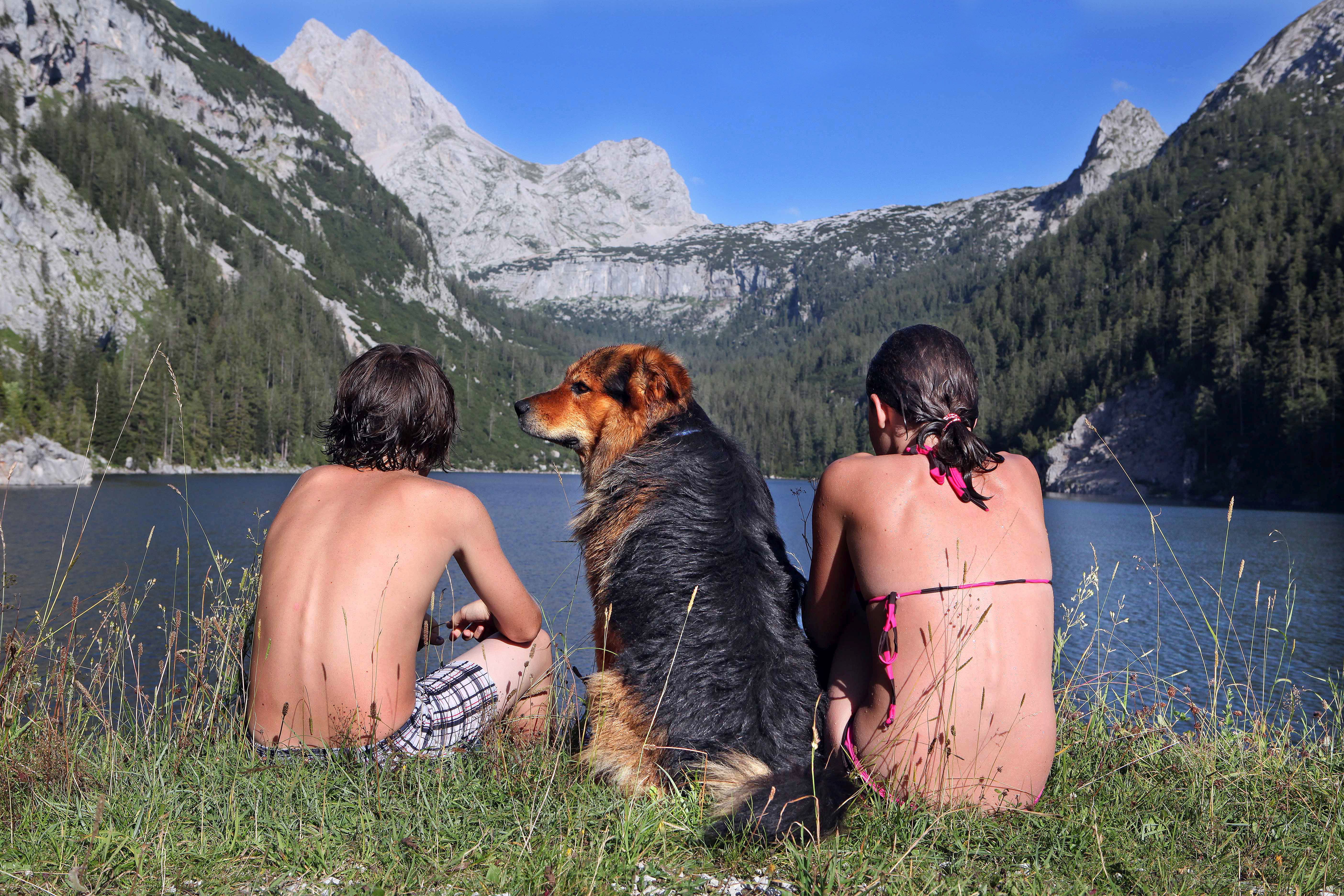 Pitch Diamond - 180 m² - Pet Friendly